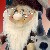R�ucherm�nnchen Wichtel Weihnachtsmann mit Rentier