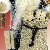 R�ucherm�nnchen Wichtel Weihnachtsmann