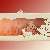 SAICO Schwibbogenerh�hung mit geschnitzten Rehen, gro�
